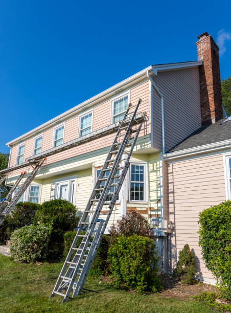 Best Steel Siding Installation  in Lamar, MO