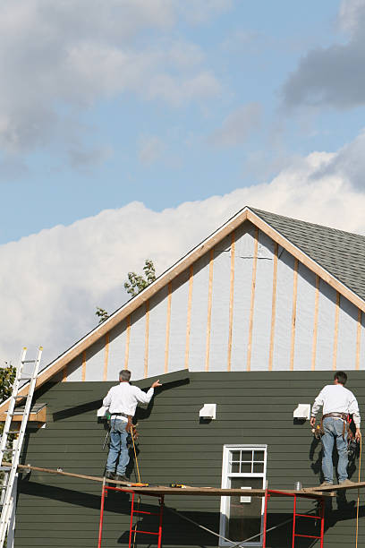 Best Siding Painting and Refinishing  in Lamar, MO